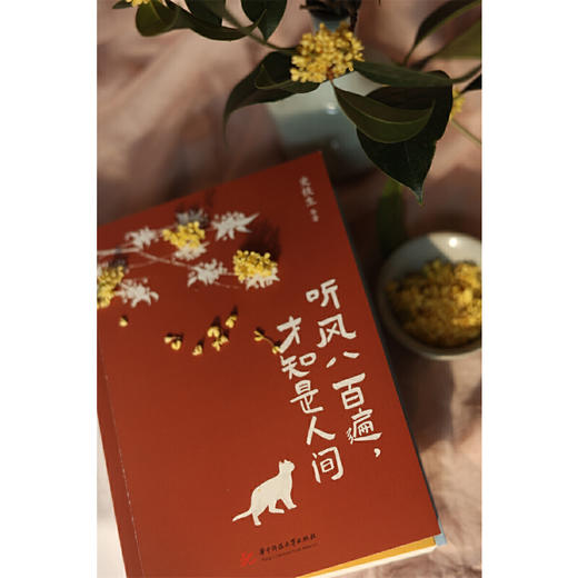 听风八百遍，才知是人间 商品图2