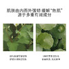 Abib 阿彼芙 鱼腥草弱酸性面膜 5片/盒 商品缩略图4