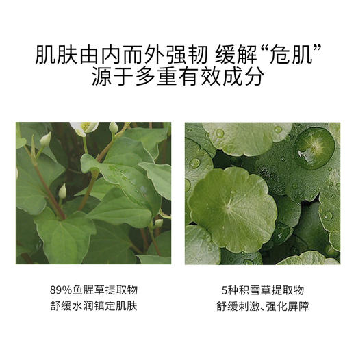Abib 阿彼芙 鱼腥草弱酸性面膜 5片/盒 商品图4
