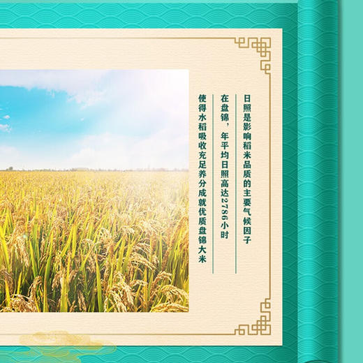 金龙鱼 御品盘锦大米5KG 商品图3