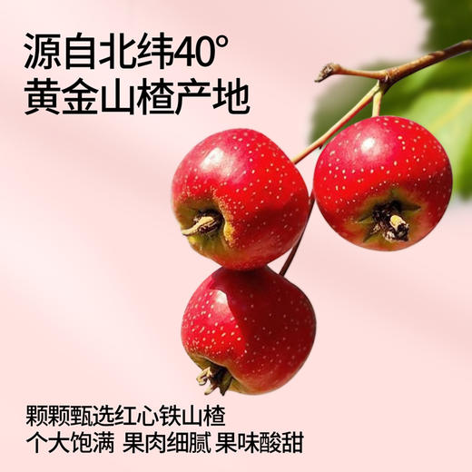 奶酪博士  奶酪山楂棒70克/袋*3袋 健康小零食 酸酸甜甜好滋味 48小时发货 商品图2