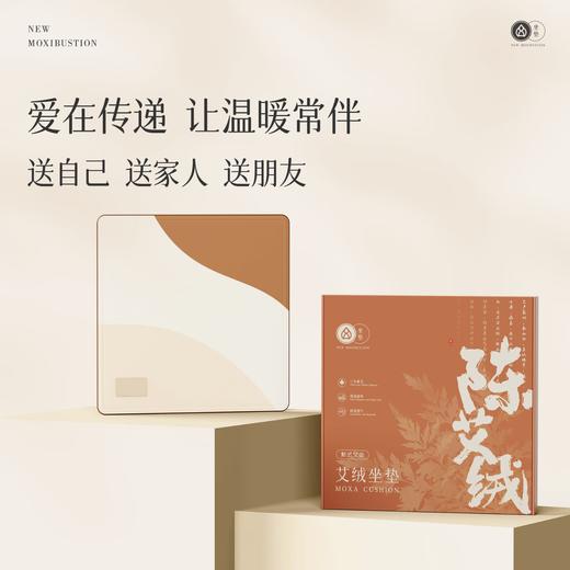 艾修堂  艾绒坐垫C1  AP-C1 商品图0