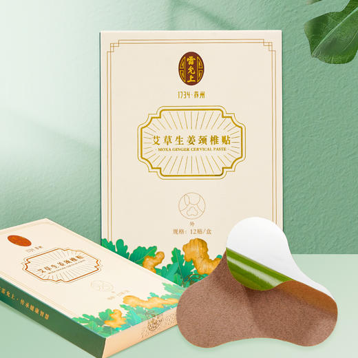 雷允上艾草生姜颈椎贴12贴/盒 商品图0