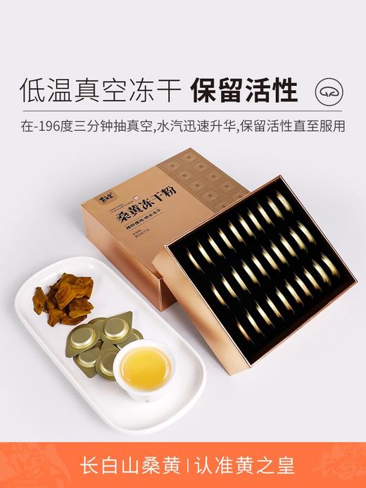 【东北特产】黄之皇长白山桑黄冻干粉 商品图3