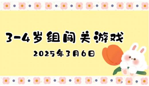 2025.3.6 3—4岁组闯关游戏 商品图0