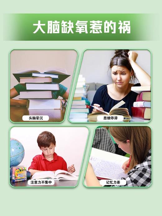 金钥匙 耐缺氧 备战中高考学生补脑鱼油 商品图2
