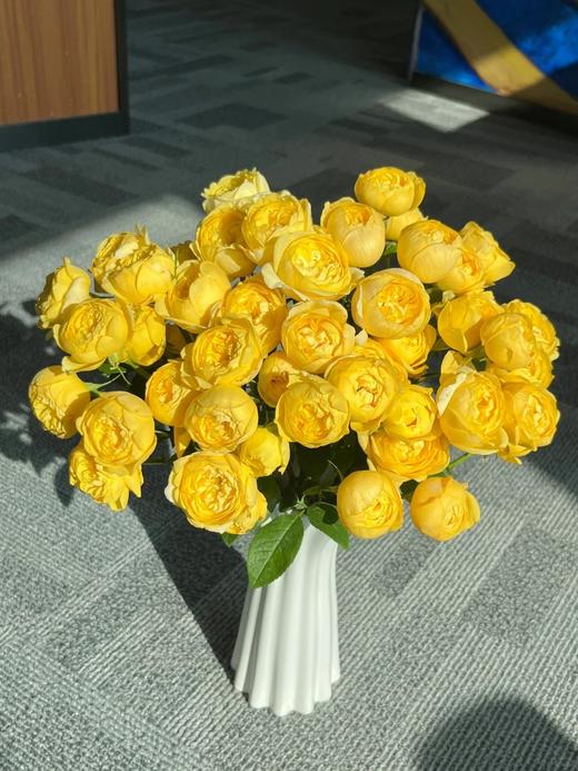 同城甄选果汁阳台系列杨桃多头玫瑰花10支 商品图5