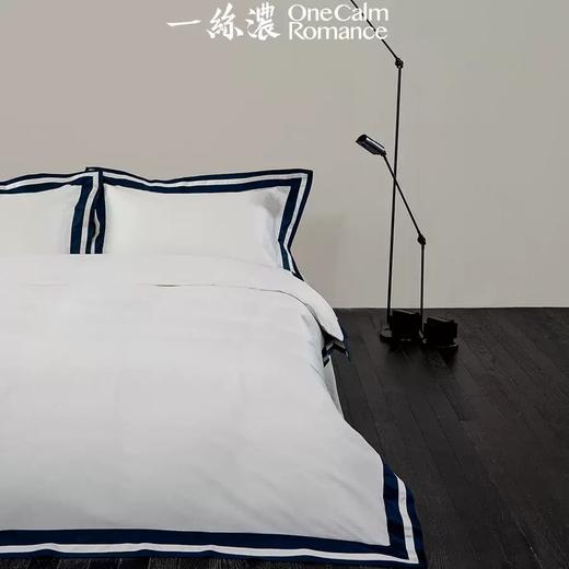 一丝浓文武系列100支长绒棉奢华现代四件套 商品图3