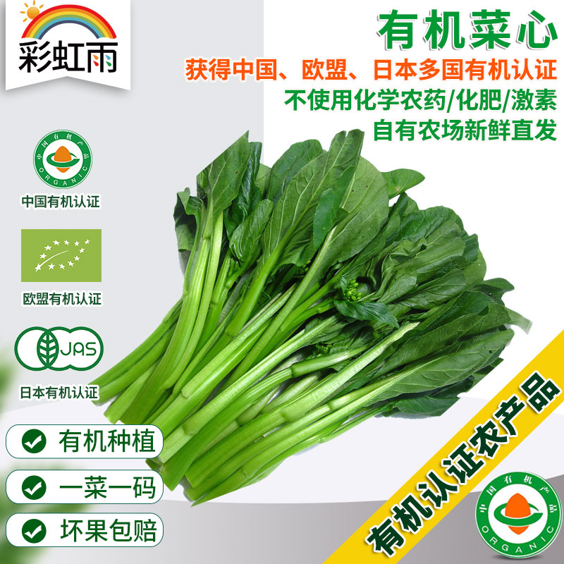 彩虹雨 北京配送 新鲜青菜有机蔬菜 菜心菜苔250g 京津冀满百包邮