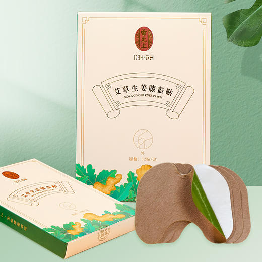 雷允上艾草生姜膝盖贴12贴/盒 商品图0