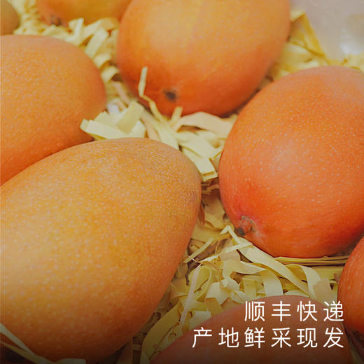 艾格吃饱了正宗海南红玉芒果新鲜采摘应季水果8斤 商品图4