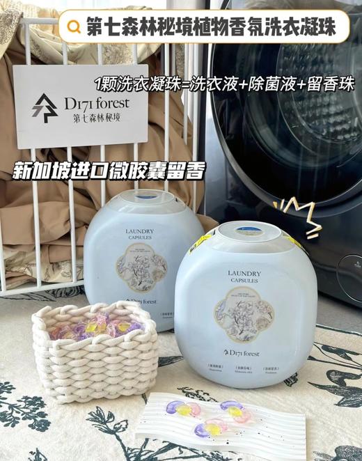 第七森林秘境 三腔香氛洗衣凝珠【付款3~5天发货 周末顺延】 商品图0