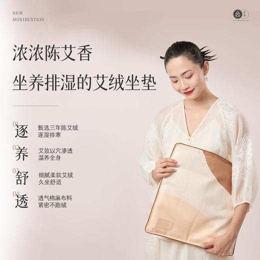 艾修堂  艾绒坐垫C1  AP-C1 商品图4