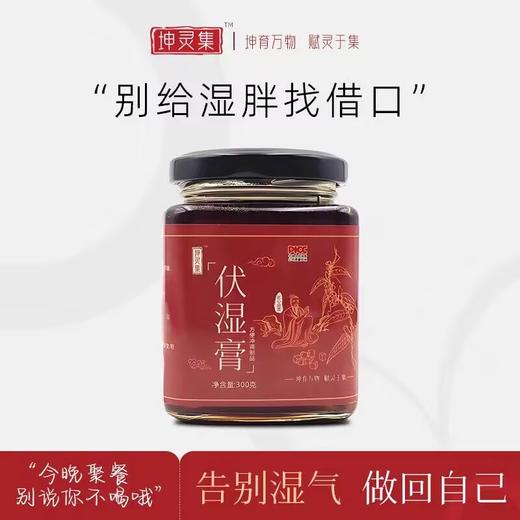 坤灵集伏湿膏 商品图0