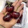 辽宁大樱桃礼盒🍒 商品缩略图1