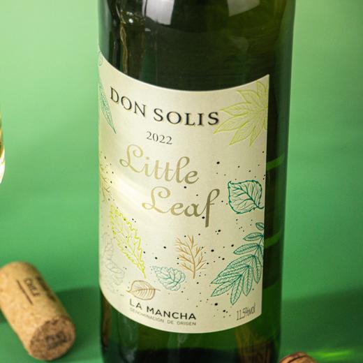 西班牙小叶 商品图4