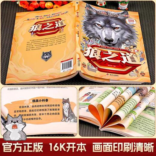 抖音同款】狼之道漫画版正版书全套集 狼道小学生版漫画书儿童版 培养孩子狼性精神锻炼强者思维小学生课外阅读书籍 商品图4