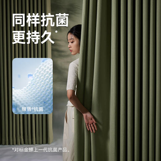 【观竹】金蝉高克重雪尼尔窗帘 商品图1