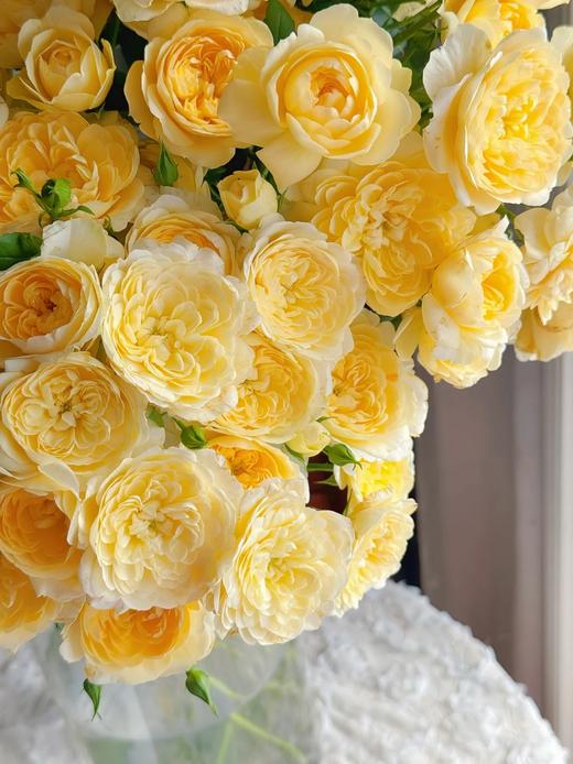 网红爆品花材蜜柚果汁多头玫瑰花10支 商品图3