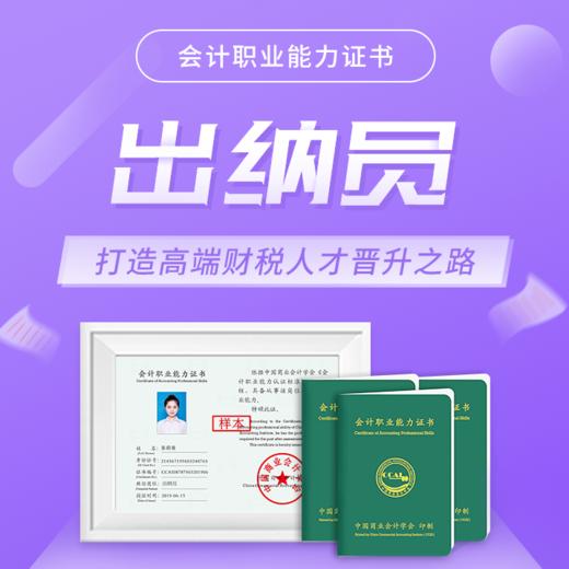 会计职业能力证书（出纳员） 商品图0