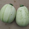 生态西葫芦 | 绿家自产* Eco-zucchini | Self-production 商品缩略图3