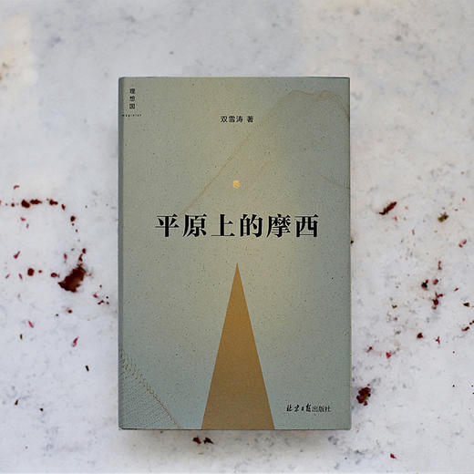 平原上的摩西 双雪涛 著 商品图1