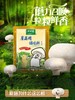 200g太太乐蘑菇精 商品缩略图1