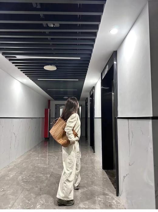 D030633大容量日常通勤老花加长肩带托特包单肩包 商品图2