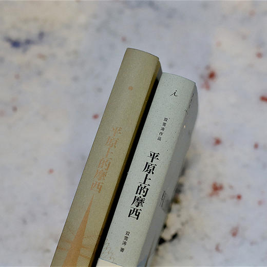 平原上的摩西 双雪涛 著 商品图4