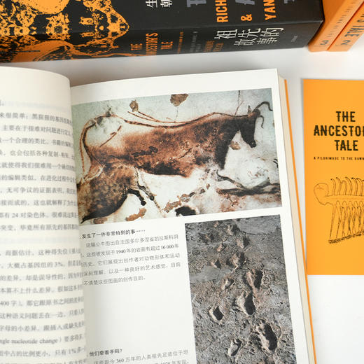 【英】理查德·道金斯《祖先的故事：生命起源的朝圣之旅》 商品图3