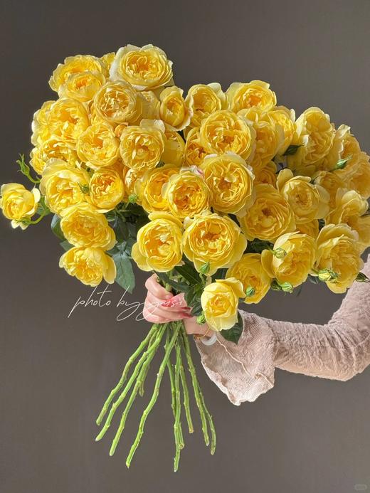 同城甄选果汁阳台系列杨桃多头玫瑰花10支 商品图4