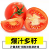 【杨博士甄选】礼盒装 一柿缘串收小番茄 酸甜多汁 一口爆汁 自然成熟水果车厘串茄 商品缩略图3