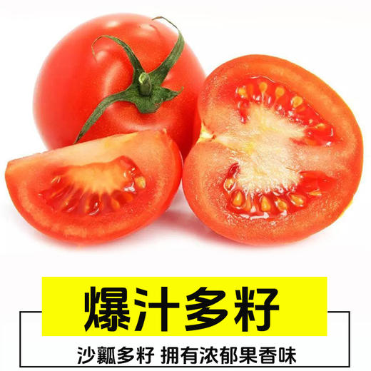 【杨博士甄选】礼盒装 一柿缘串收小番茄 酸甜多汁 一口爆汁 自然成熟水果车厘串茄 商品图3