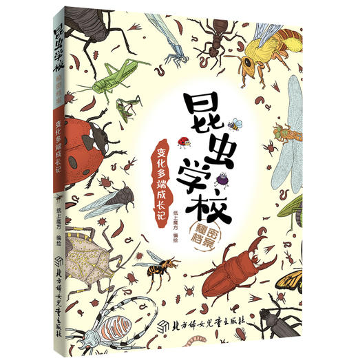 《昆虫学校秘密档案》全套8册 小学推荐阅读 商品图8