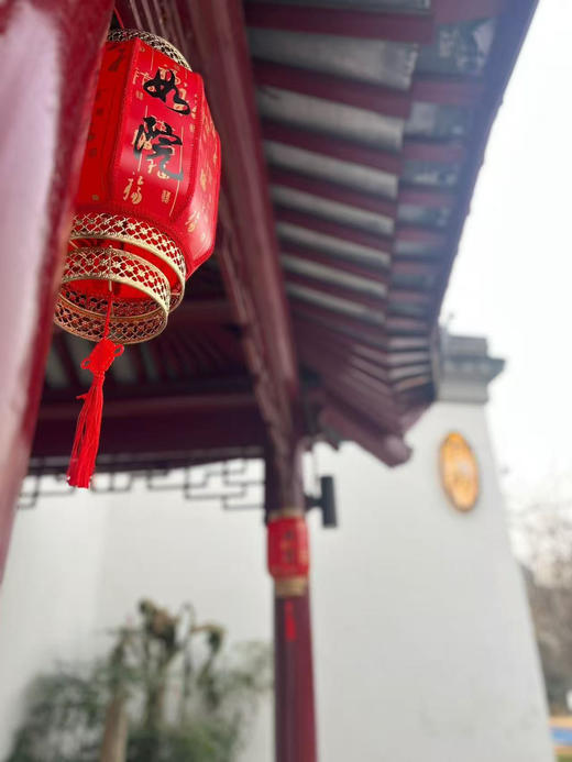 【会员特权】积分兑换！穿越千年 梦回江南！汉服大片 古风美照！拍摄地点：金龙湖步行公园内-如院民宿苏式园林 商品图1