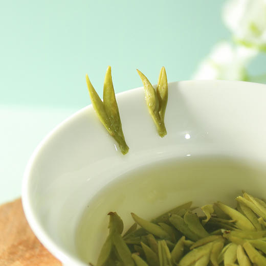 2025早春龙井 早春嫩芽特级龙井豆香浓郁250g 商品图5