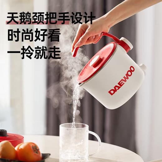 大宇便携式烧水壶 电水壶折叠316不锈钢 0.8L小型旅行恒温折叠电热水壶家用烧水壶保温防干烧烧水杯 0.8L 商品图6