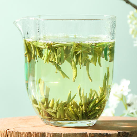 2025早春雀舌 早春嫩芽特级雀舌颗颗肥实250g 商品图2