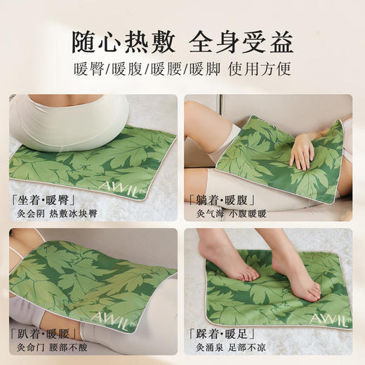 艾修堂  热敷坐垫C1Pro  AP-C1pro 商品图0