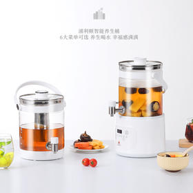 浦利顿养生桶养生壶3L带水龙头家用多功能