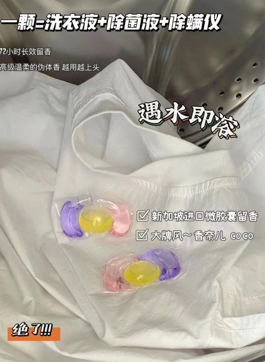 第七森林秘境 三腔香氛洗衣凝珠【付款3~5天发货 周末顺延】 商品图1