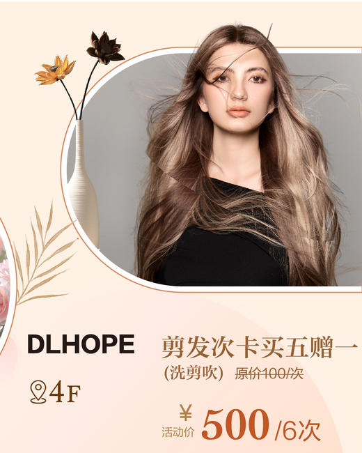 DL HOPE剪发次卡买五赠一（洗剪吹） 商品图0
