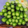 头茬嫩芦笋    产地：崇明
规格：一把/250g
笋满分💯头茬青芦笋🌱
无需去根｜25cm黄金可食段！
应季～“蔬菜之wang” 商品缩略图3