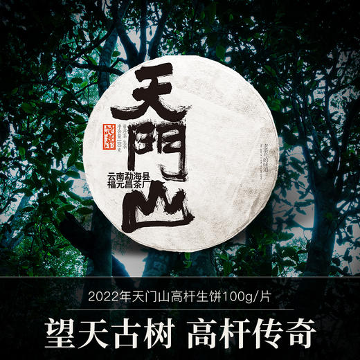 【会员专享】2022年天门山高杆古树100g生饼 商品图0