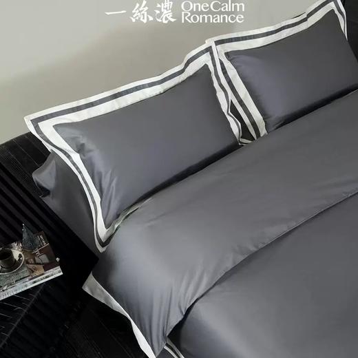 一丝浓文武系列100支长绒棉奢华现代四件套 商品图2