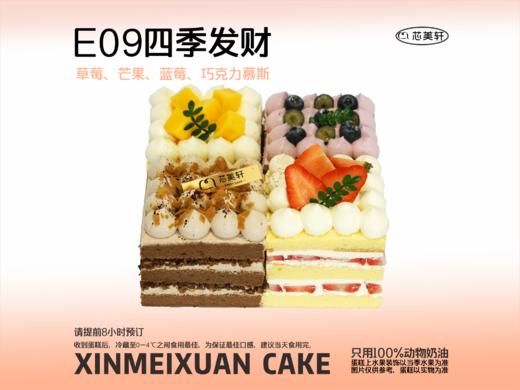 E09四季发财 商品图0