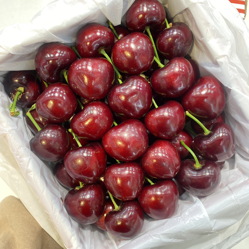 辽宁大樱桃礼盒🍒