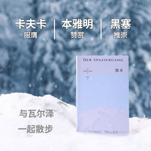 散步（不散步我就像死了一样……）（瑞士）罗伯特·瓦尔泽 著 商品图3