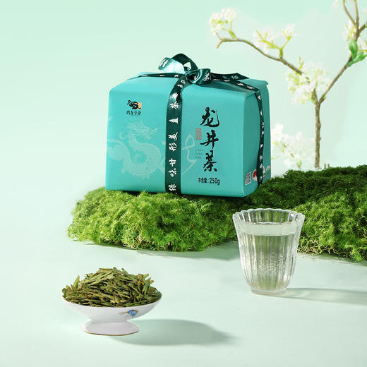 2025早春龙井 早春嫩芽特级龙井豆香浓郁250g 商品图0