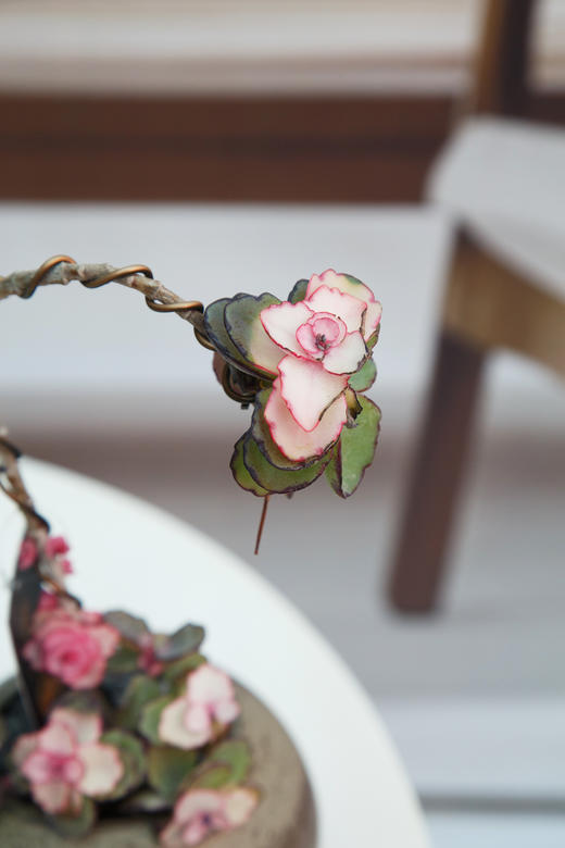 锦绣牡丹锦 商品图2